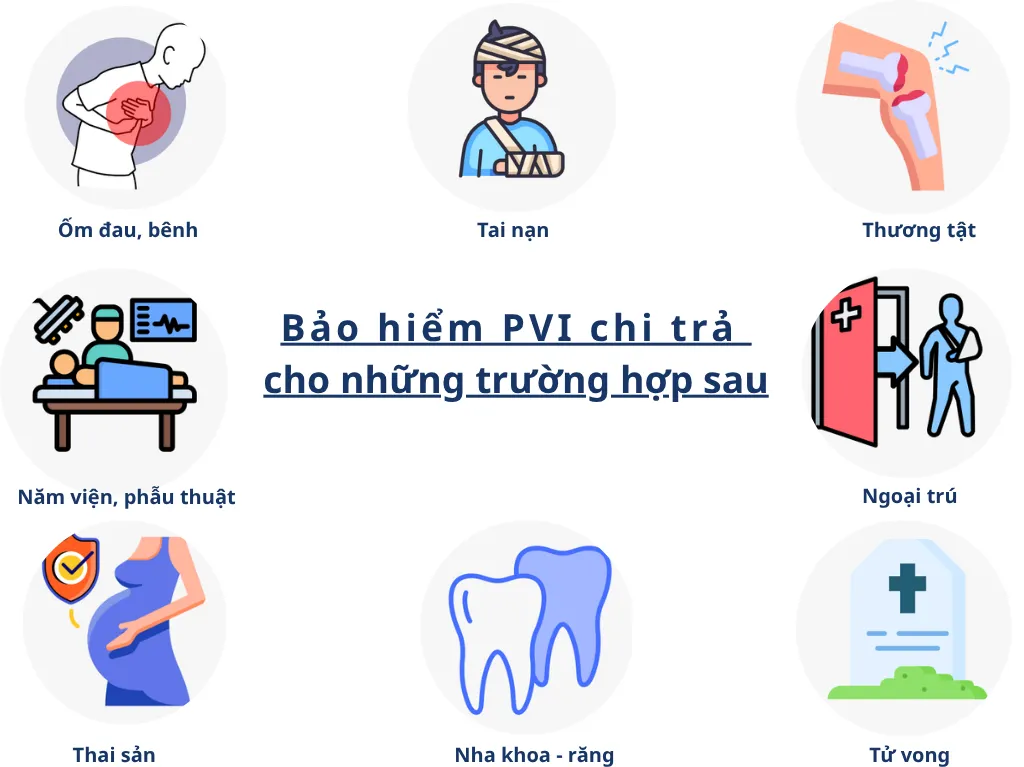 mypvi bao hiem pvi care 1 1