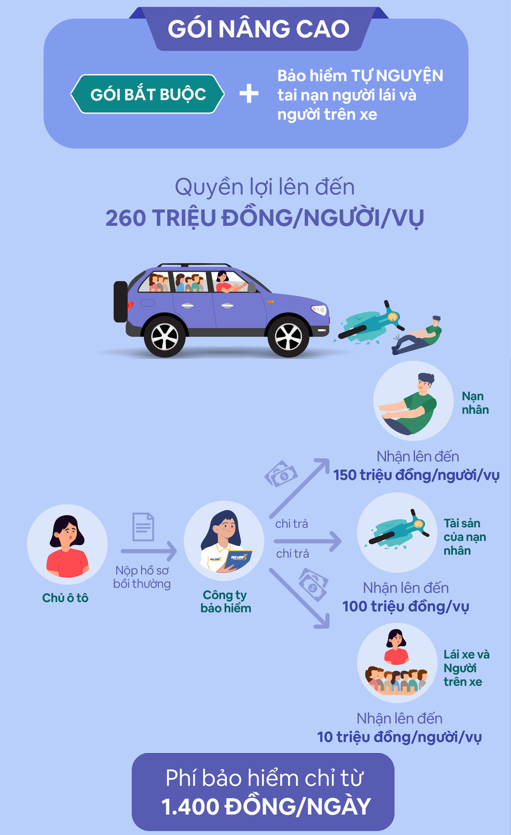 bao hiem dan su oto 1