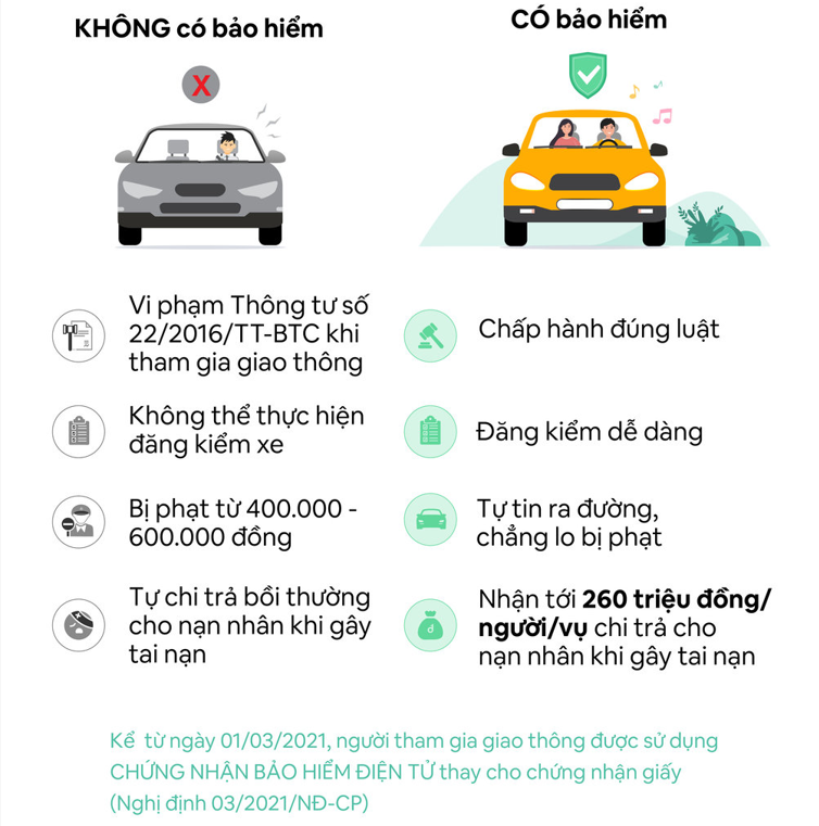 bao hiem dan su oto 2