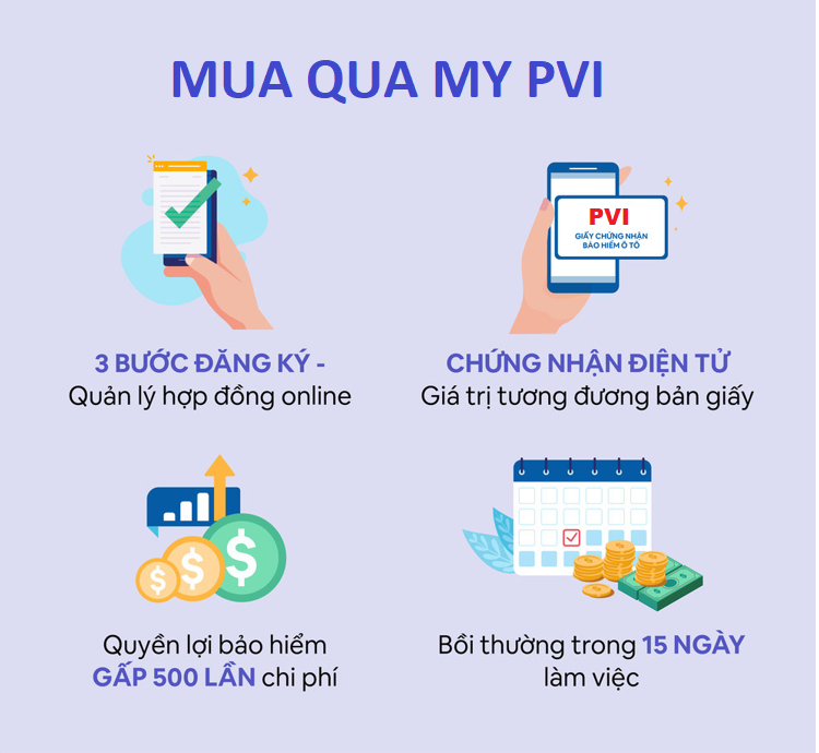 bao hiem dan su oto 3