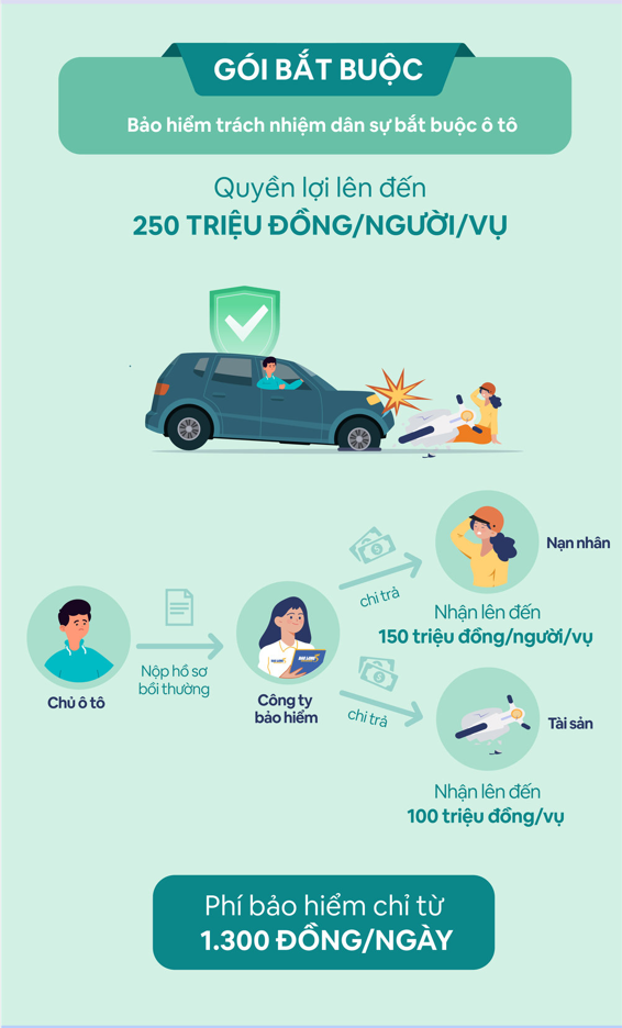 bao hiem dan su oto 4